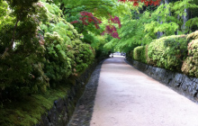 白浜・高野山の旅